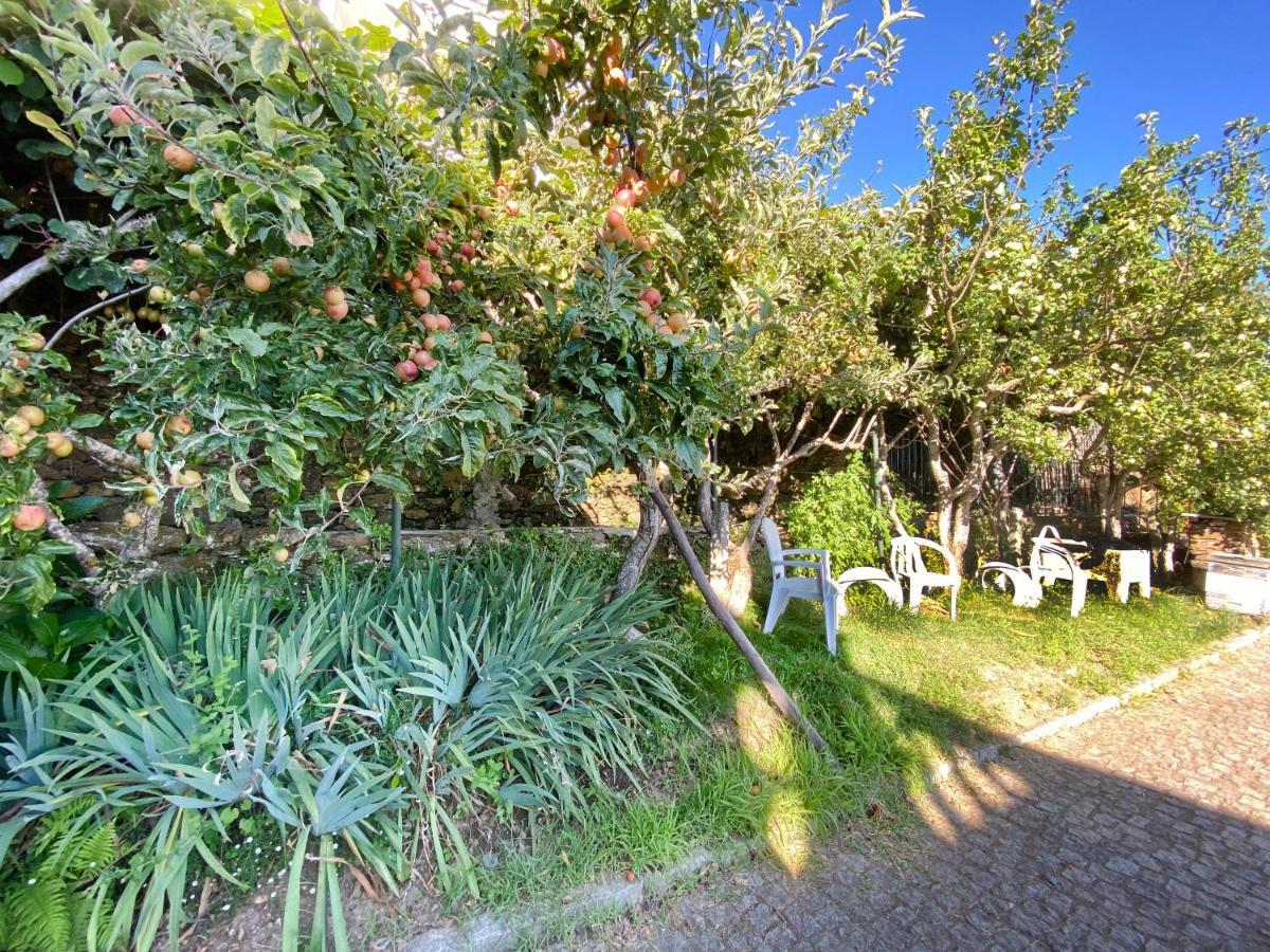 Casa Da Risca Daire Unhais Da Serra Dış mekan fotoğraf
