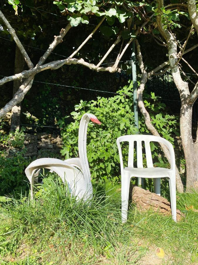 Casa Da Risca Daire Unhais Da Serra Dış mekan fotoğraf
